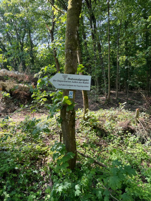 Neckarsteig, ab Mosbach
26. Juni 2023